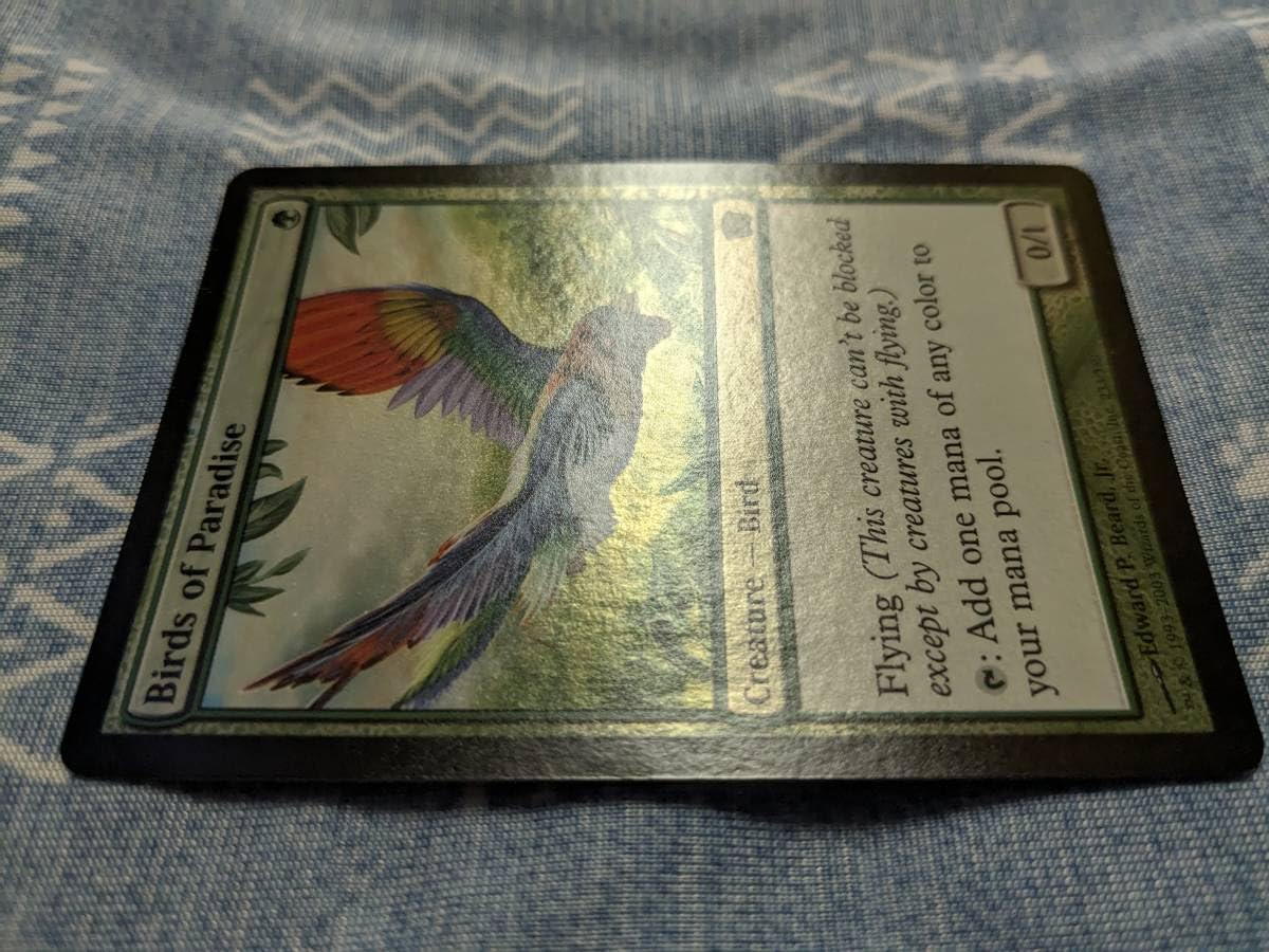 PSA9 MTG 英語　極楽鳥Birds of Paradise 8版　foil BIRDS OF PARADISE Eighth 8th Edition Foil CGC 7.0 QUAD